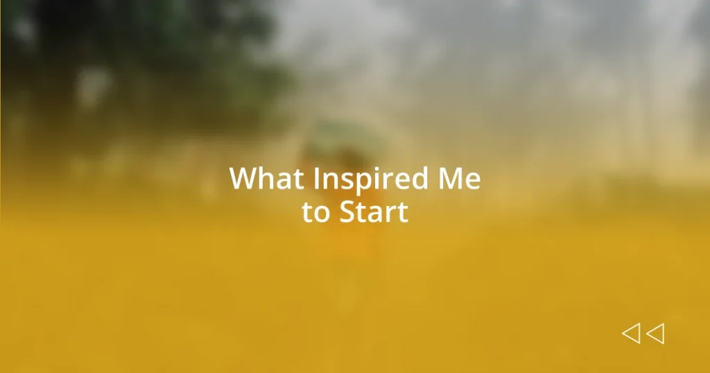 What Inspired Me to Start